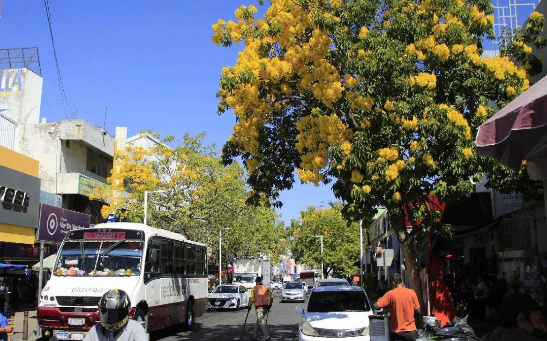 centro culiacán